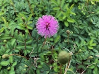 IMG_9349_200.jpg